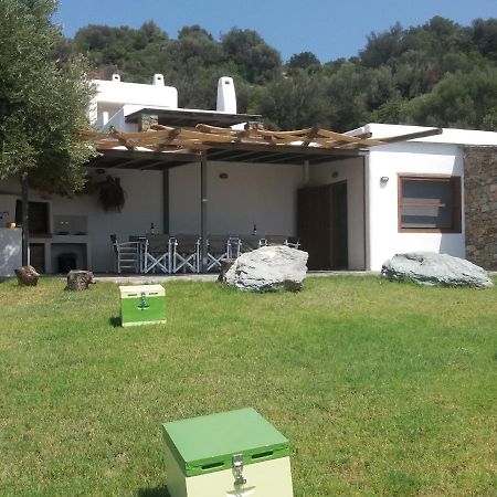 Skinammos Eco Villas Marmari  Exteriér fotografie