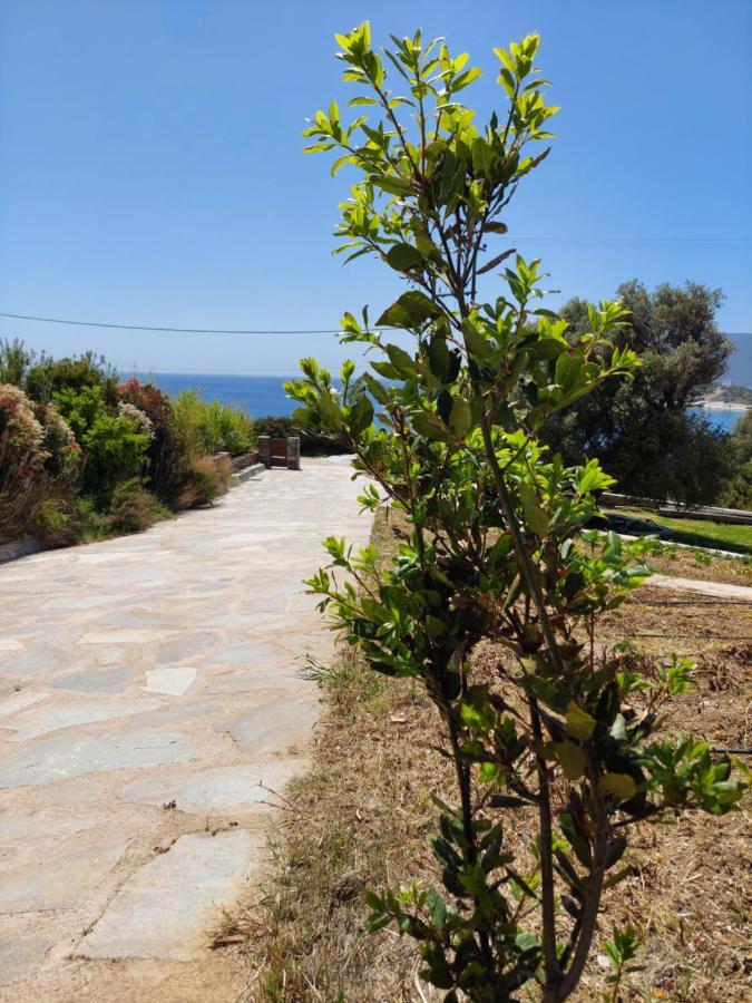 Skinammos Eco Villas Marmari  Exteriér fotografie
